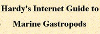 Gastropods.com