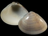 4588