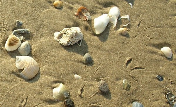 promenade sur la plage